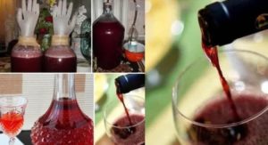Вино из винограда изабелла вред и польза