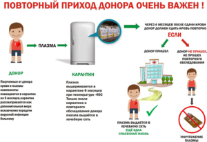 Сдача плазмы крови польза и вред для донора