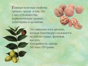 Листья грецкого ореха вред и польза и вред