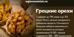 Грецкий орех польза и вред для организма для женщин