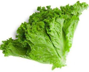 Зеленый салат польза и вред для здоровья