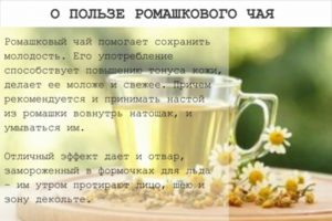 Польза и вред ромашкового чая для женщин