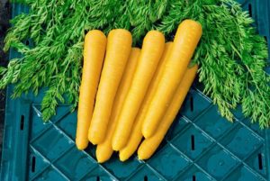 Морковь желтая польза и вред химический состав