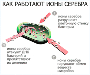 Коллоидное серебро вред и польза и вред