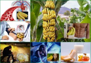 Банан польза и вред для здоровья ребенка