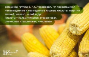 Кукурузное масло рафинированное дезодорированное польза и вред