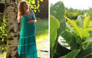 Зеленый чай для беременных польза и вред