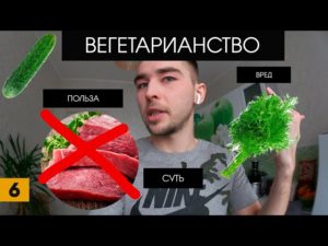 Вегетарианство польза и вред для мужчин