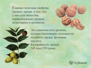 Грецкие орехи польза и вред для организма женщины