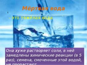 Польза и вред живой и мертвой воды