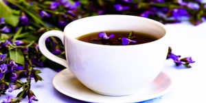 Чай из шалфея польза и вред в гинекологии