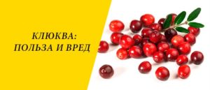 Клюква польза и вред при сахарном диабете 2 типа