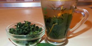 Чай из листьев крыжовника польза и вред