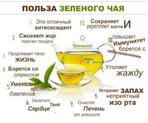 Зеленый чай польза и вред сколько можно пить в день