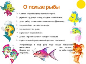 Рыба польза и вред для организма человека