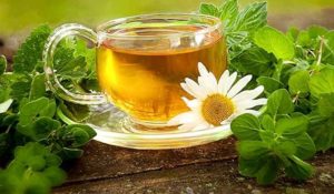 Зеленый чай с ромашкой польза и вред