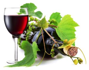 Виноградное вино польза и вред для здоровья