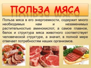 Польза и вред мяса для организма человека