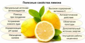 Лимон польза и вред для организма человека