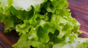 Листья салата польза и вред для организма