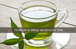 Зеленый чай польза и вред для печени