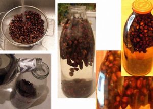 Настойка на кедровых орешках на водке рецепт польза или вред
