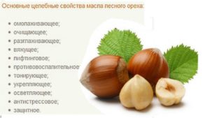 Фундук орехи польза и вред для женщин