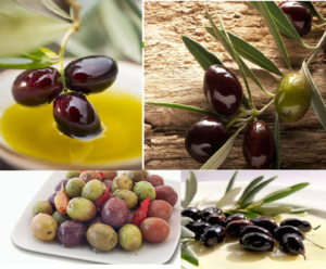 Оливки и маслины в чем разница польза и вред