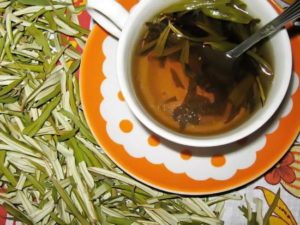 Облепиха листья польза и вред передозировка чая
