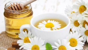 Чай из цветков ромашки польза и вред