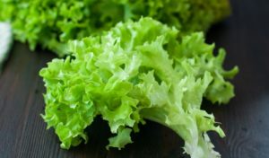 Листья салата польза и вред для организма