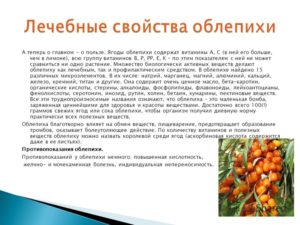 Облепиха польза и вред для здоровья женщины