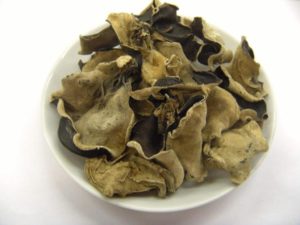 Древесные грибы вред и польза и вред