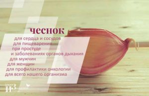 Чеснок и сердце польза и вред для здоровья