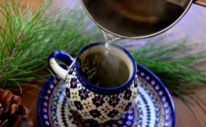 Чай из сосновых иголок польза и вред