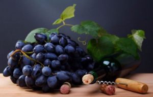 Белый виноград польза и вред лечебные свойства
