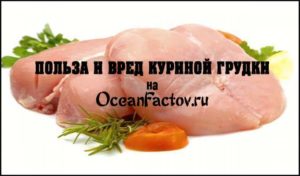 Мясо курицы польза и вред для организма