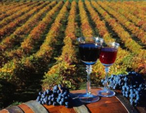 Вино из винограда молдова польза и вред