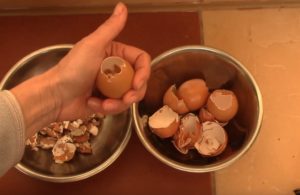 Скорлупа яиц польза и вред приема в пищу