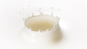 Заменитель молочного жира вред и польза и вред