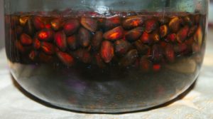 Настойка на кедровых орешках на водке рецепт польза или вред