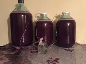 Домашнее вино из винограда вред и польза