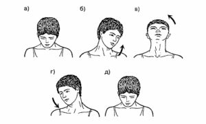 Круговые движения головой вред и польза