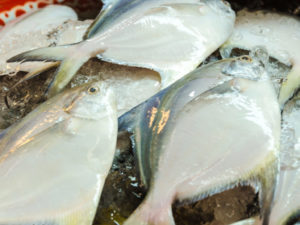 Масляная рыба вред и польза и вред