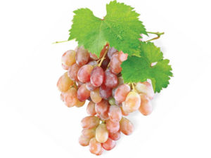 Виноград тайфи польза и вред для организма