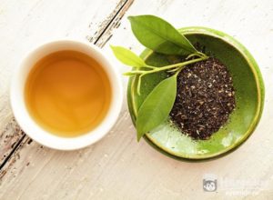 Зеленый чай польза и вред при диабете