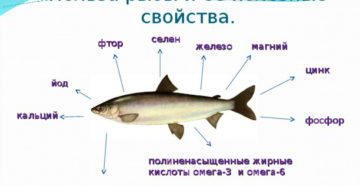 Речная рыба польза и вред для организма человека