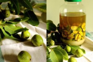 Спиртовая настойка зеленого грецкого ореха польза и вред
