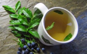 Чай из листьев черники польза и вред