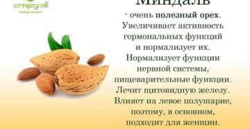 Миндаль орех польза и вред для женщин